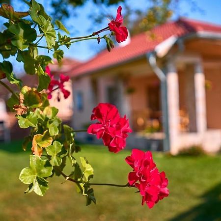 Villa Simida Debnevo Ngoại thất bức ảnh