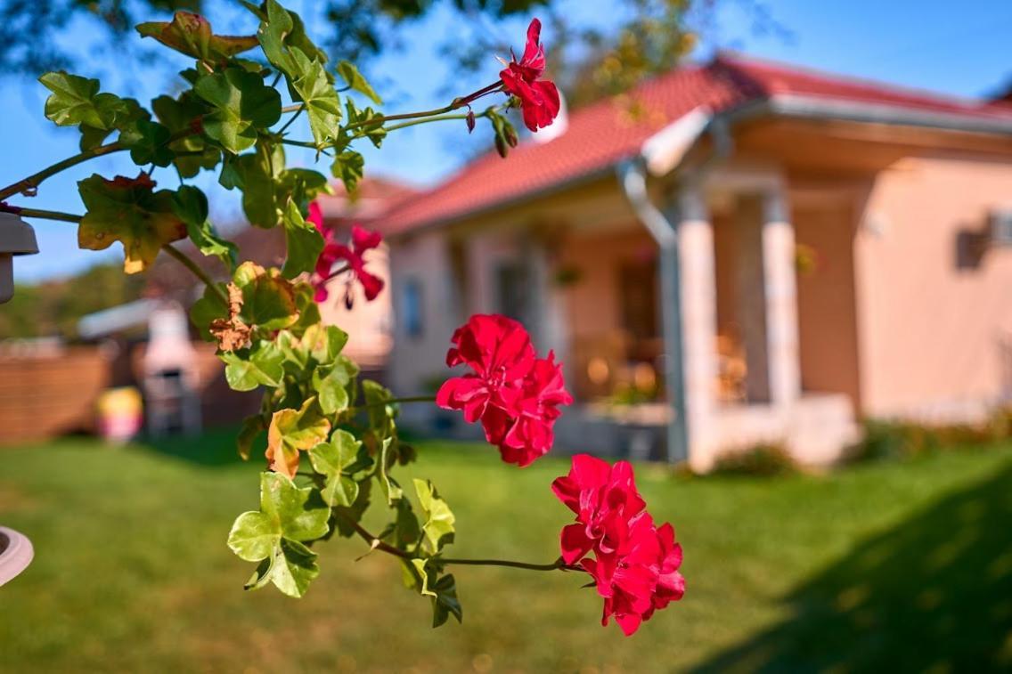 Villa Simida Debnevo Ngoại thất bức ảnh